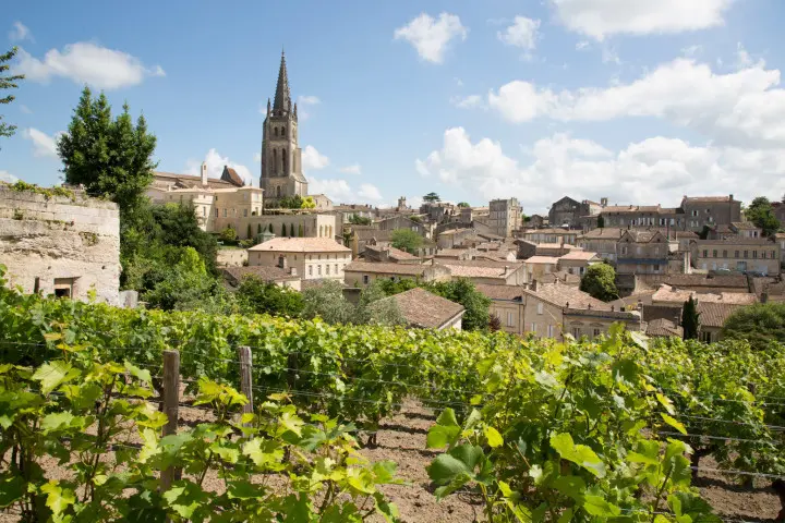 Saint Emilion, cité médiévale et vignoble renommé, une escapade culturelle et viticole à ne pas manquer